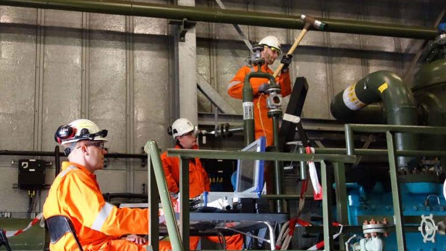 Services - PulsimSuite®